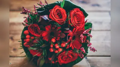 Rose Day 2024: किस रंग के गुलाब का क्या होता है मतलब? यहां जानें