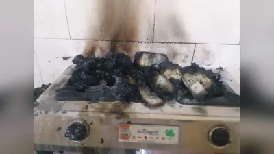 राजस्थान में घूसखोर तहसीलदार ने फागुन में मनाई ‘दिवाली’, पकड़े जाने के डर जला दिए 20 लाख रुपये कैश