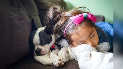 World Sleep Day 2024: वर्ल्ड स्लीप डे आज, जानिए अच्छी नींद के लिए क्या करें