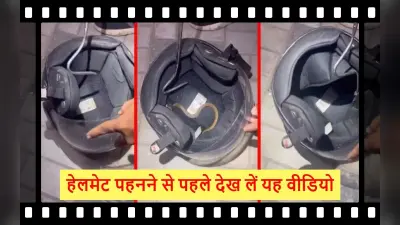 Viral Video: हेलमेट में बैठा हुआ था सांप, देख कर कांप जाएंगे आप