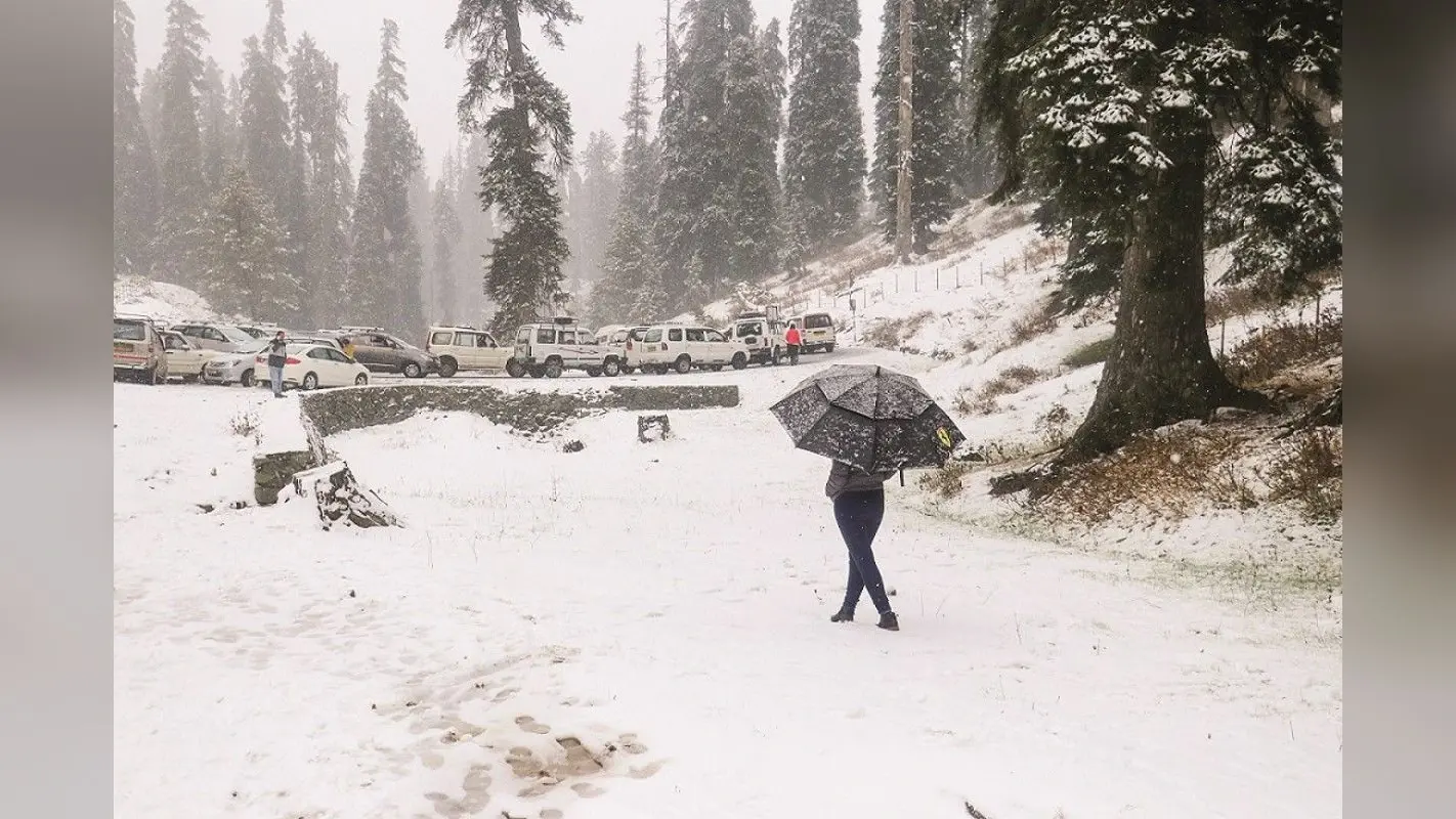 Jammu And Kashmir Snowfall Season: रियल लाइफ में लेना है स्नोफॉल का आनंद तो तुरंत बना लें जम्मू-कश्मीर का प्लान, जानें कितना आएगा खर्च
