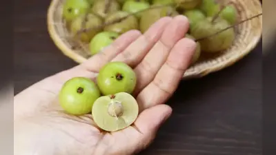 आंवला में छिपे हैं सेहत के राज, हेयर और स्किन के लिए भी टॉनिक