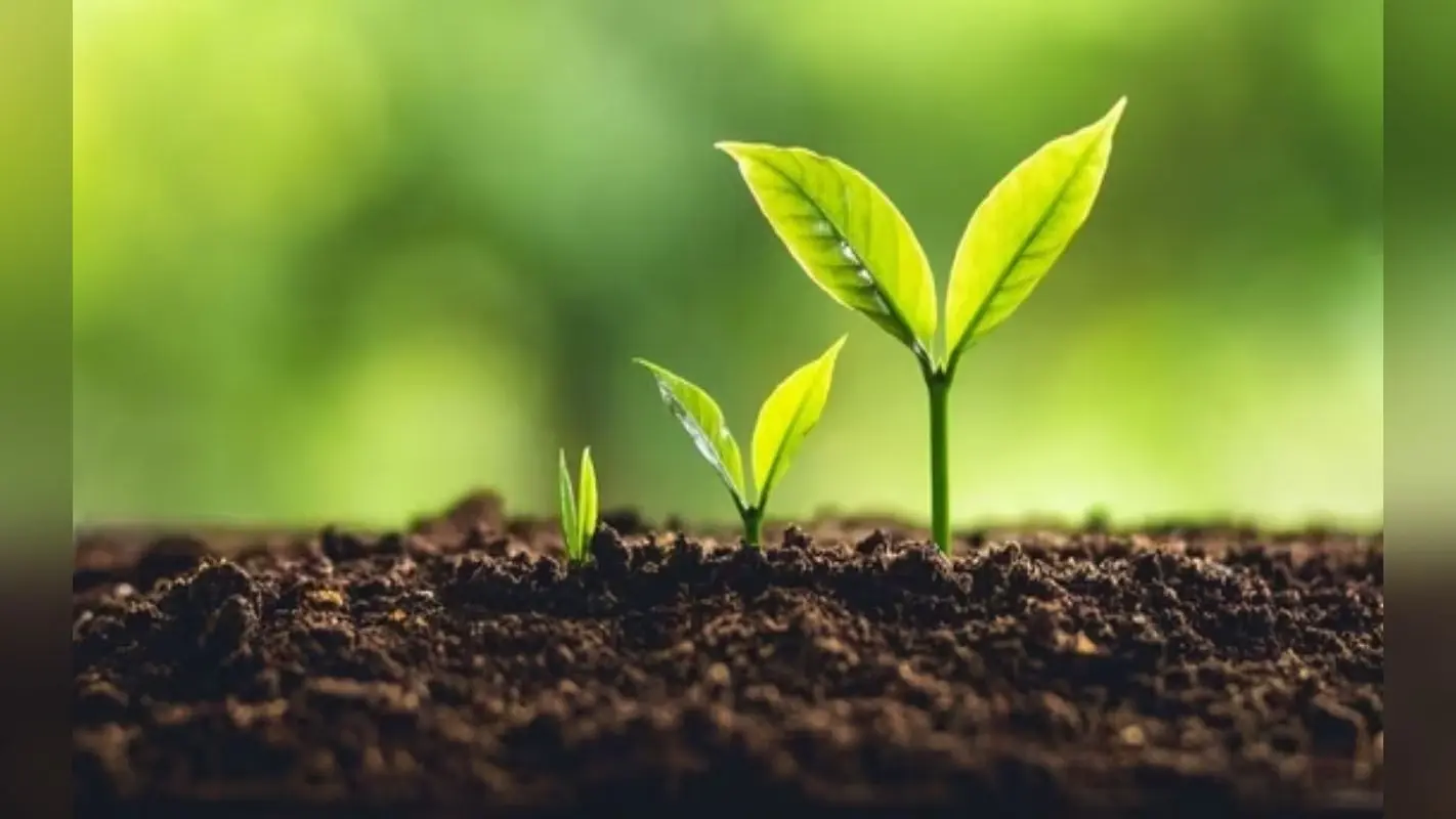 World Soil Day 2024 : सॉइल साइंस में संवारें कल