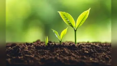 World Soil Day 2024 : सॉइल साइंस में संवारें कल