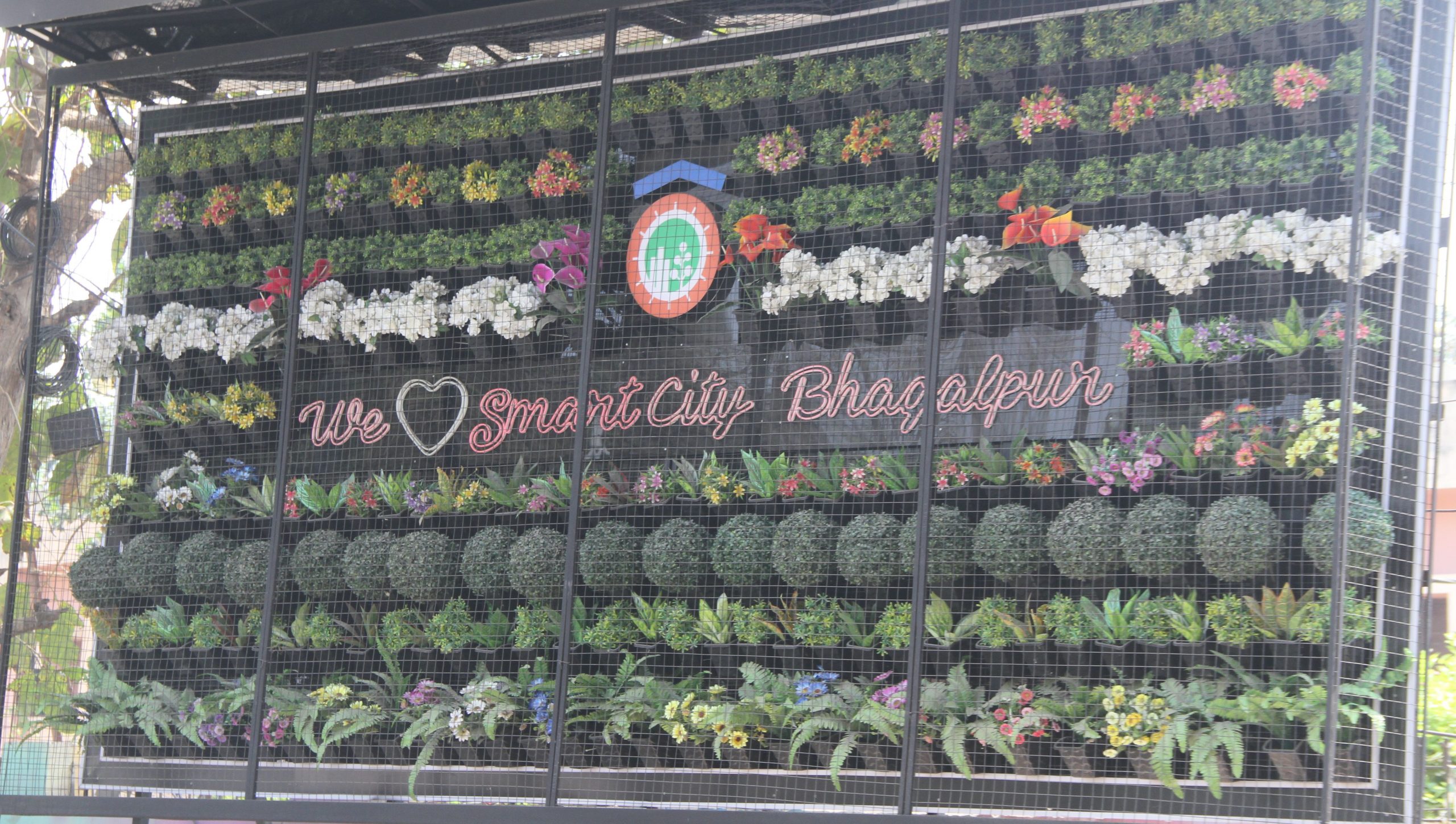 Bhagalpur News: नाम रखा स्मार्ट सिटी ग्रीन जोन, वर्टिकल गार्डन में लटका दिये प्लास्टिक के फूल