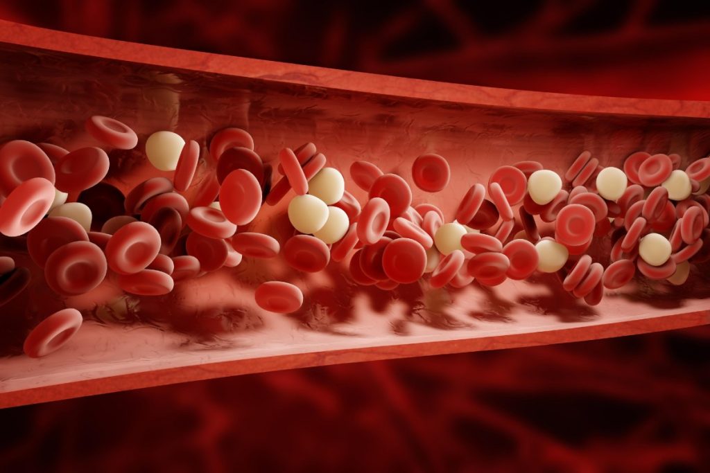 Blood