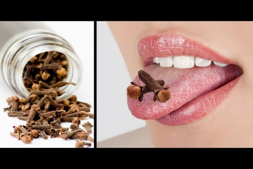 Cloves for Women