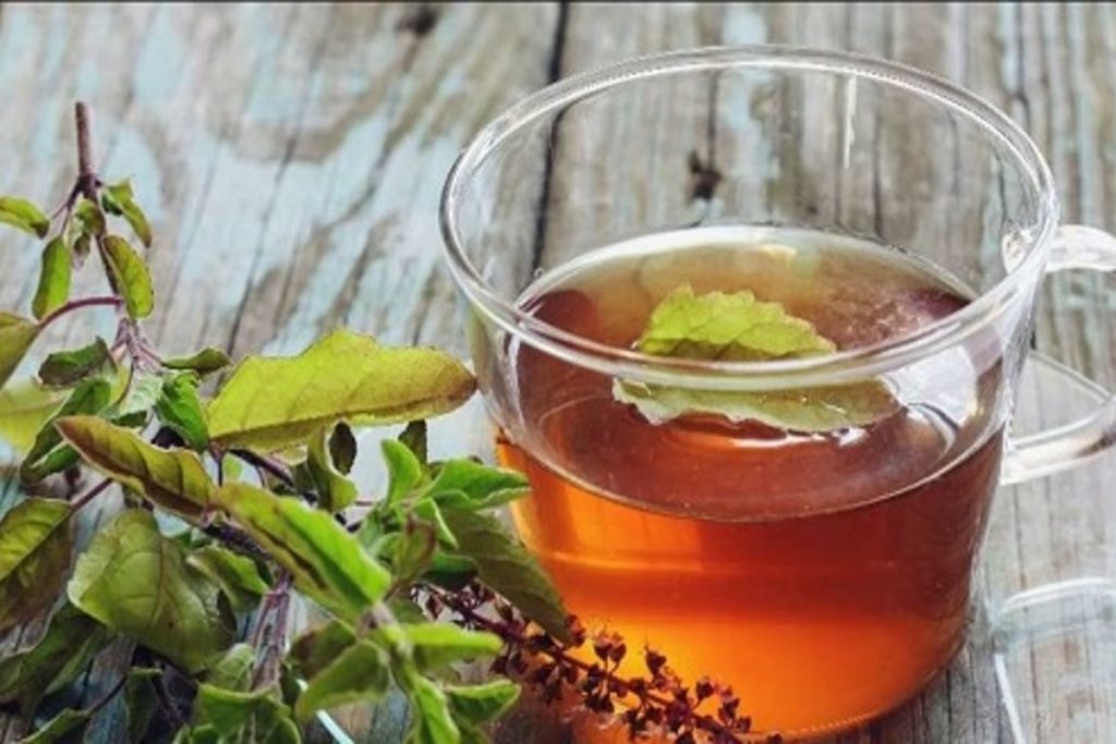 basil decoction
