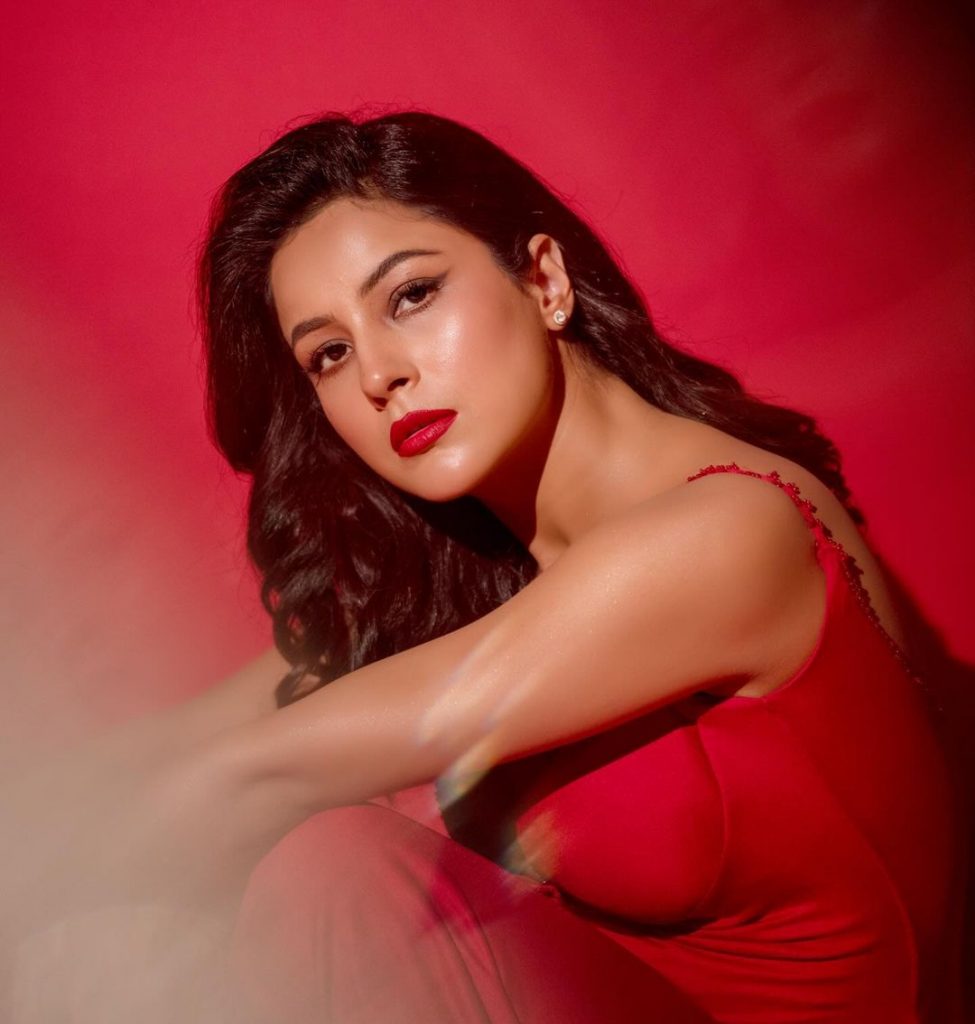 shehnaaz-gill-1