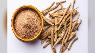 Ashwagandha benefits: तनाव और चिंता को कम करने में अश्वगंधा की भूमिका