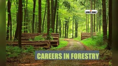 Career in Forestry: फॉरेस्ट्री के फील्ड में बनाएं करियर, मिलेंगे ये शानदार विकल्प