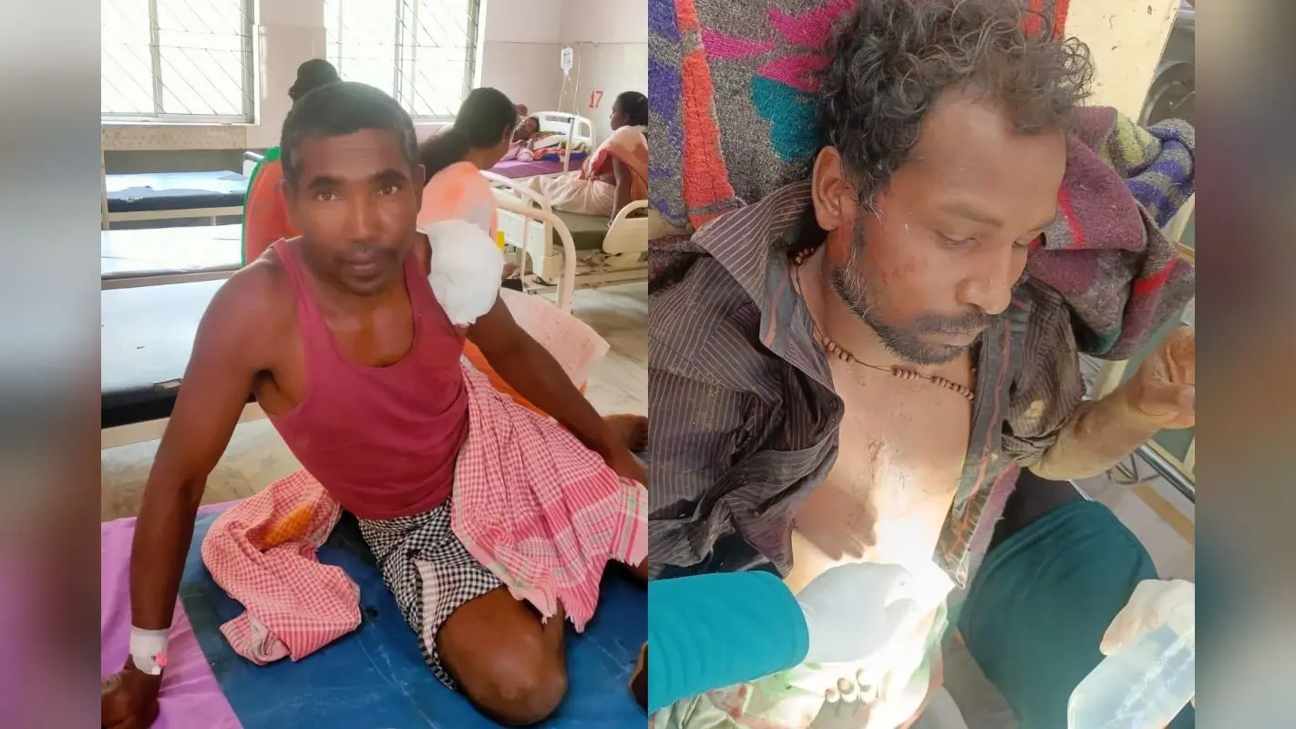 होली के दिन सिमडेगा में जंगली सूअर ने मचाया आतंक, हमले में एक की मौत