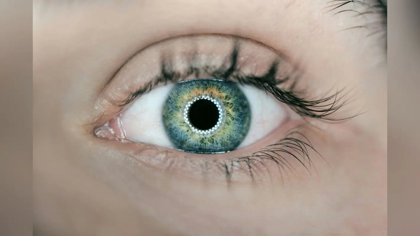 Eye Care Tips: आंखों की देखभाल: स्वस्थ आंखों के लिए सरल उपाय