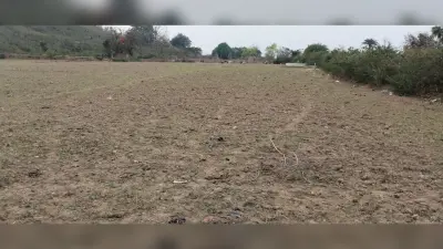 सिंचाई सुविधा के अभाव में दम तोड़ रही कृषि