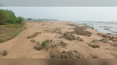 इनवायरमेंटल क्लियरेंस न मिलने से घाट से बालू उठाव अब तक नहीं हो सका शुरू