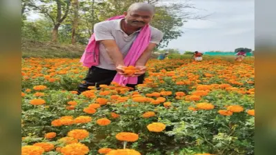 फूलों की खेती से बदली परिवार की तस्वीर, बने युवाओं के लिए प्रेरणास्रोत