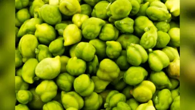 Weight Loss Tips: चने की मदद से निकला हुआ पेट करें कम, यहां जानें तरीका