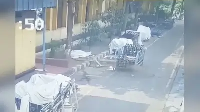 झारखंड के आदित्यपुर इंडस्ट्रियल एरिया में दिखा तेंदुआ, कामगारों में मची अफरा-तफरी, एक युवक घायल, देखें VIDEO