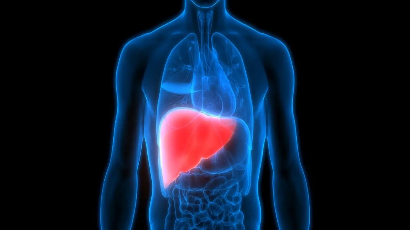 Health Tips: लिवर इन्फेक्शन को हल्के में ना लें, इन लक्षणों से पहचानें