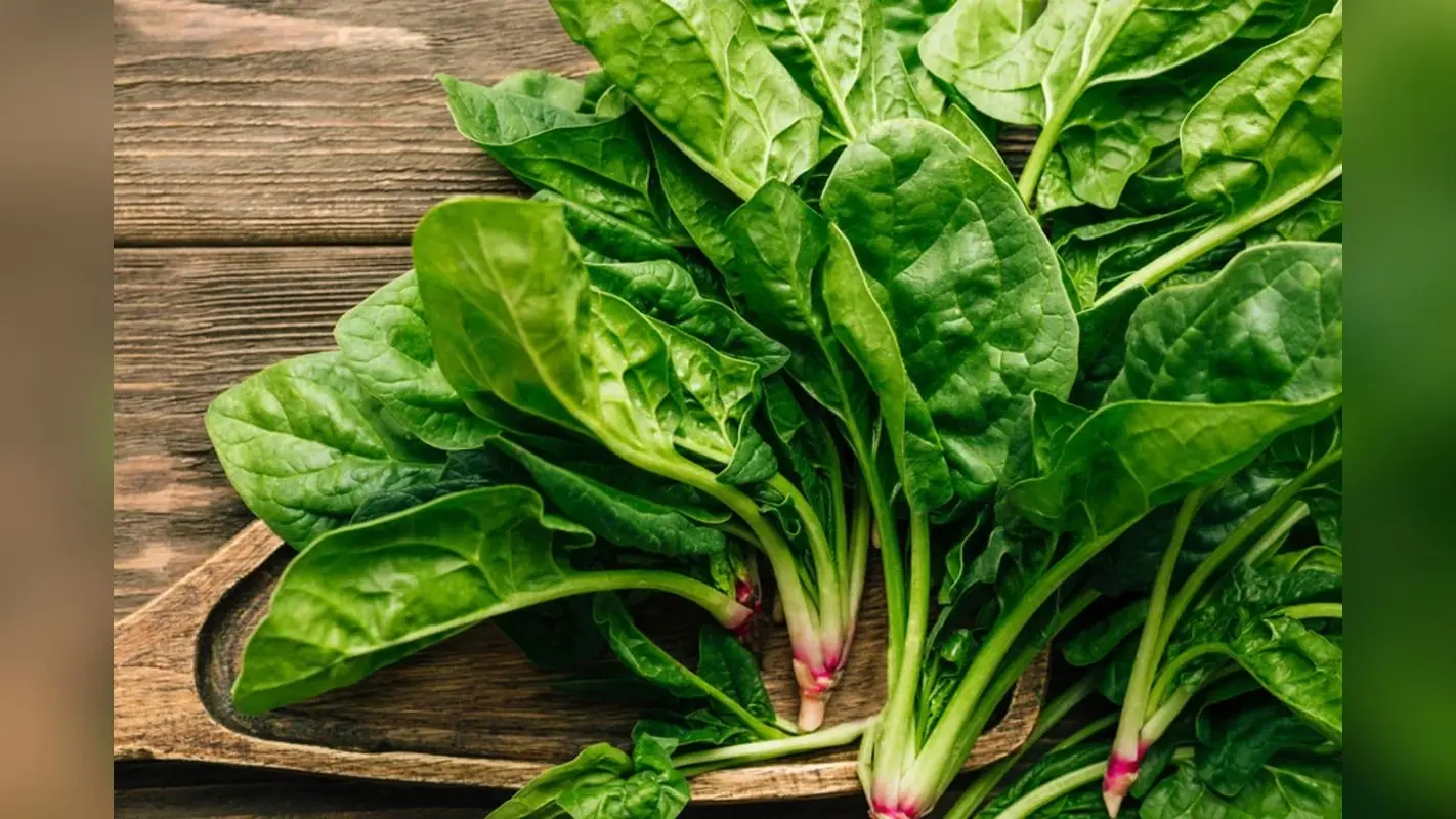 Spinach benefits: जाने पालक है कितना फायदेमंद