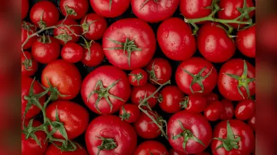Tomato Price : आम जनता के लिए सरकार लाई खुशखबरी, दिल्ली मे मिलेंगे 50 रुपये किलो टमाटर