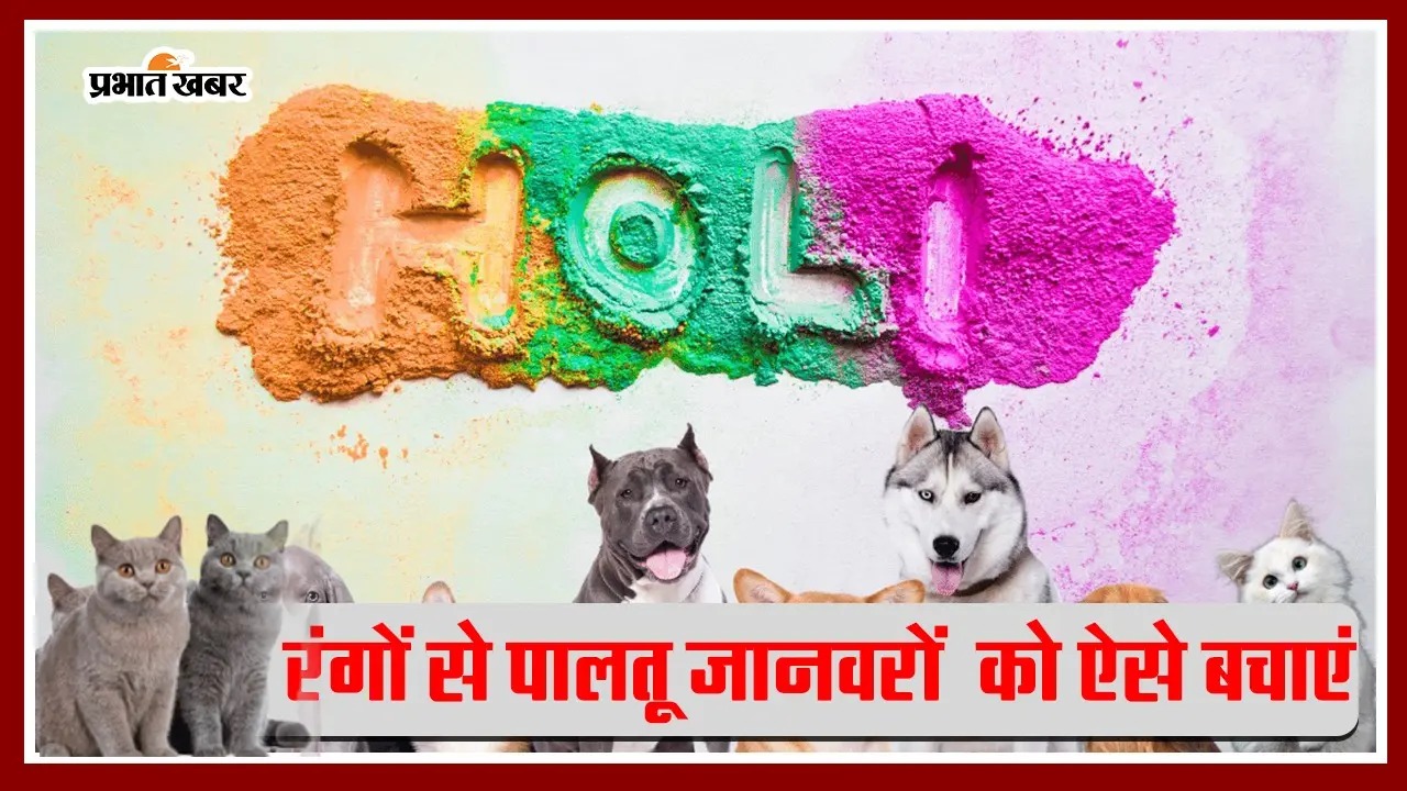 Pet Care Tips For Holi: रंगों के त्योहार में ऐसे करें अपने पालतू जानवरों का बचाव