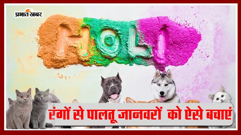 Pet Care Tips For Holi: रंगों के त्योहार में ऐसे करें अपने पालतू जानवरों का बचाव