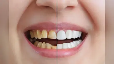 Herbs For Teeth: मोतियों की तरह चमकने लगेंगे आपके दांत, अगर आप इन जड़ी-बूटियों का करेंगे इस्तेमाल