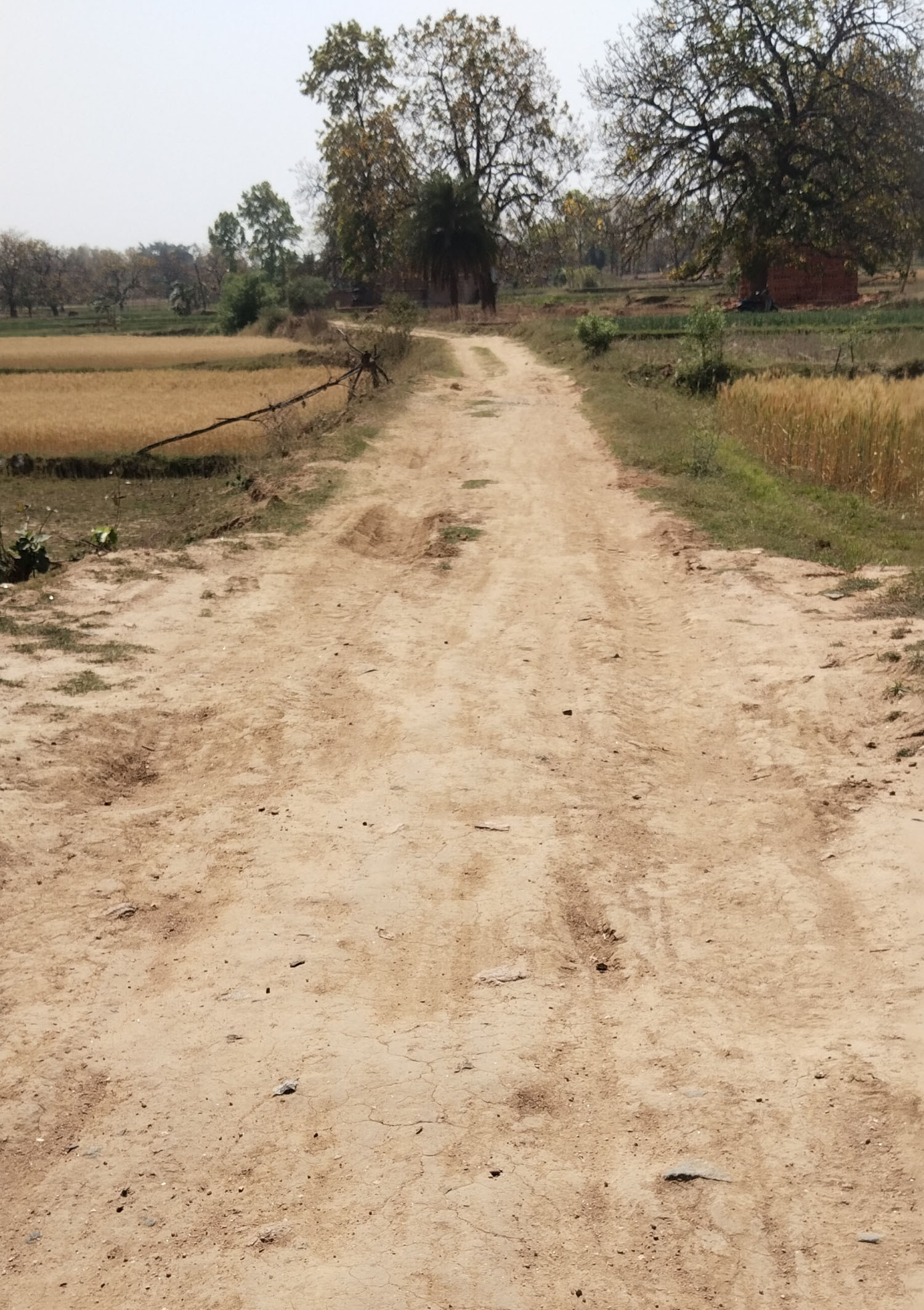 चंदिया-कसियाडीह पगडंडी पथ को बनायेंगे चुनावी मुद्दा