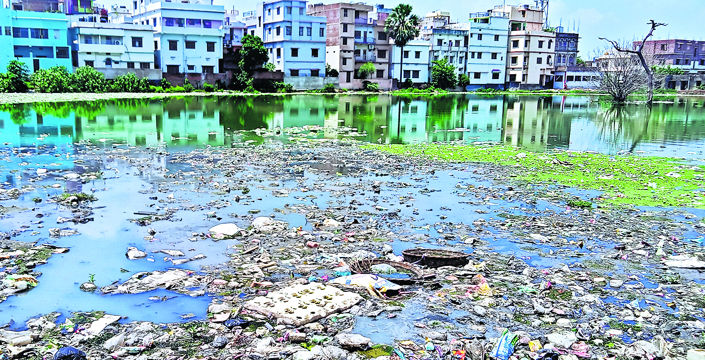 सालों से खाली जमीनों में जमा है पानी, पनप रहे जहरीले मच्छर