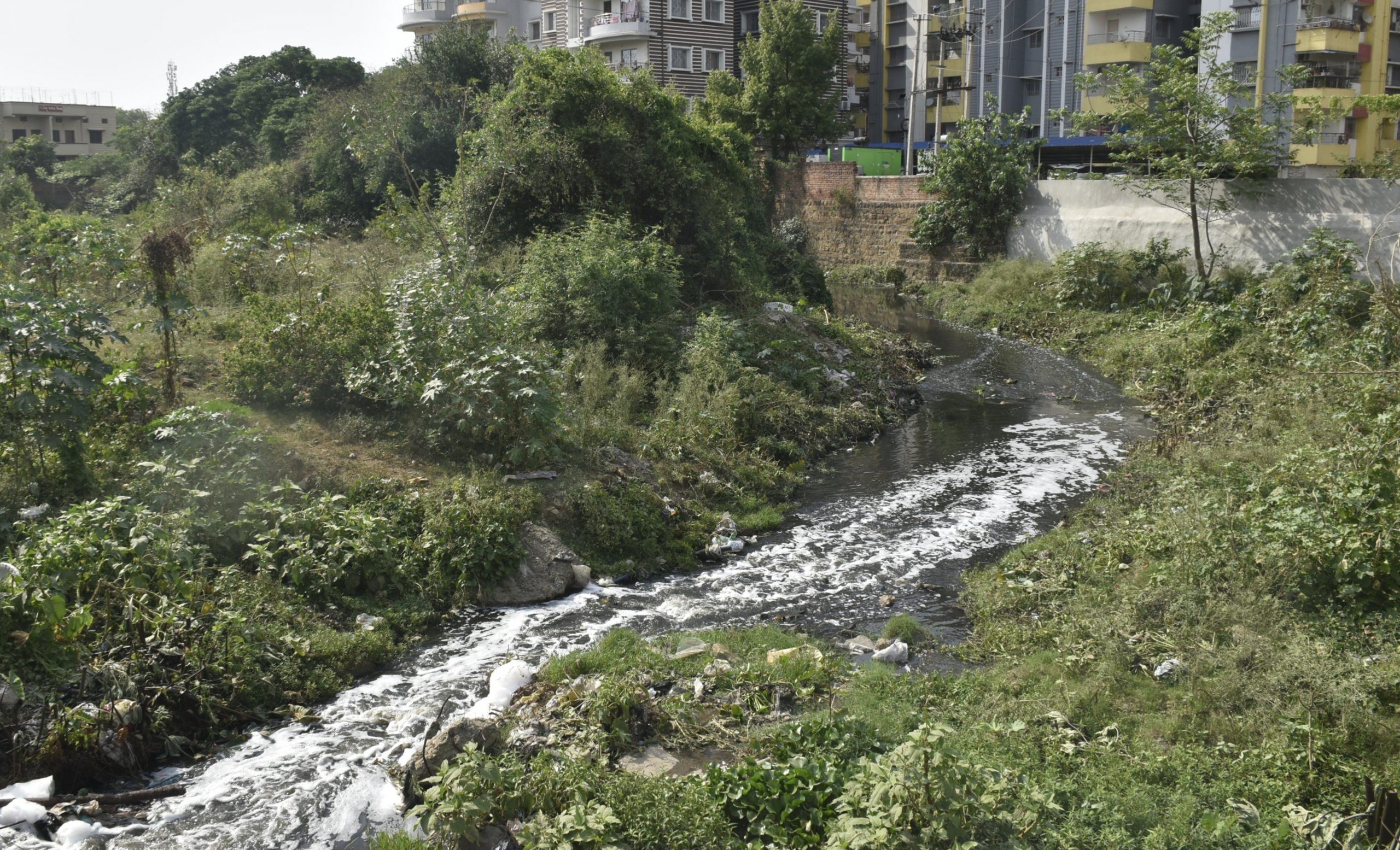 कभी कल-कल बहता था पानी, आज दुर्गंध से जीना दूभर