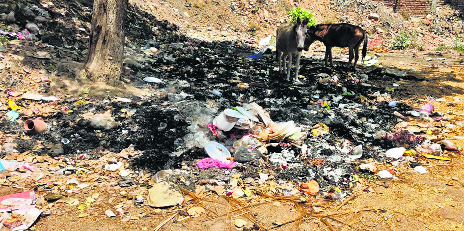 नगर परिषद उदासीन, सफाई व्यवस्था लचर