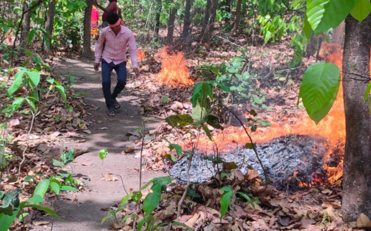 Giridih Fire News: घोरंजी पहाड़ पर 10 हेक्टेयर में फैली आग हुई बेकाबू, खतरे में वन्य जीव