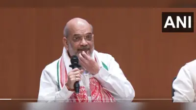 CAA निरस्त करने के चिदंबरम के बयान पर बोले अमित शाह, कांग्रेस कभी सत्ता में नहीं आएगी