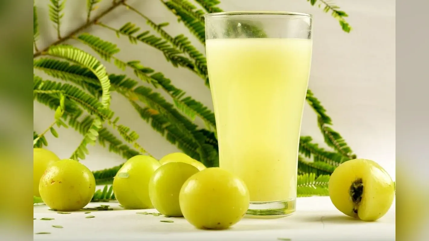 Benefits Of Ayurvedic Juices: बीमारी को दूर भगायेंगे ये आयुर्वेदिक जूस, स्वस्थ और तंदुरुस्त रखने में भी मददगार