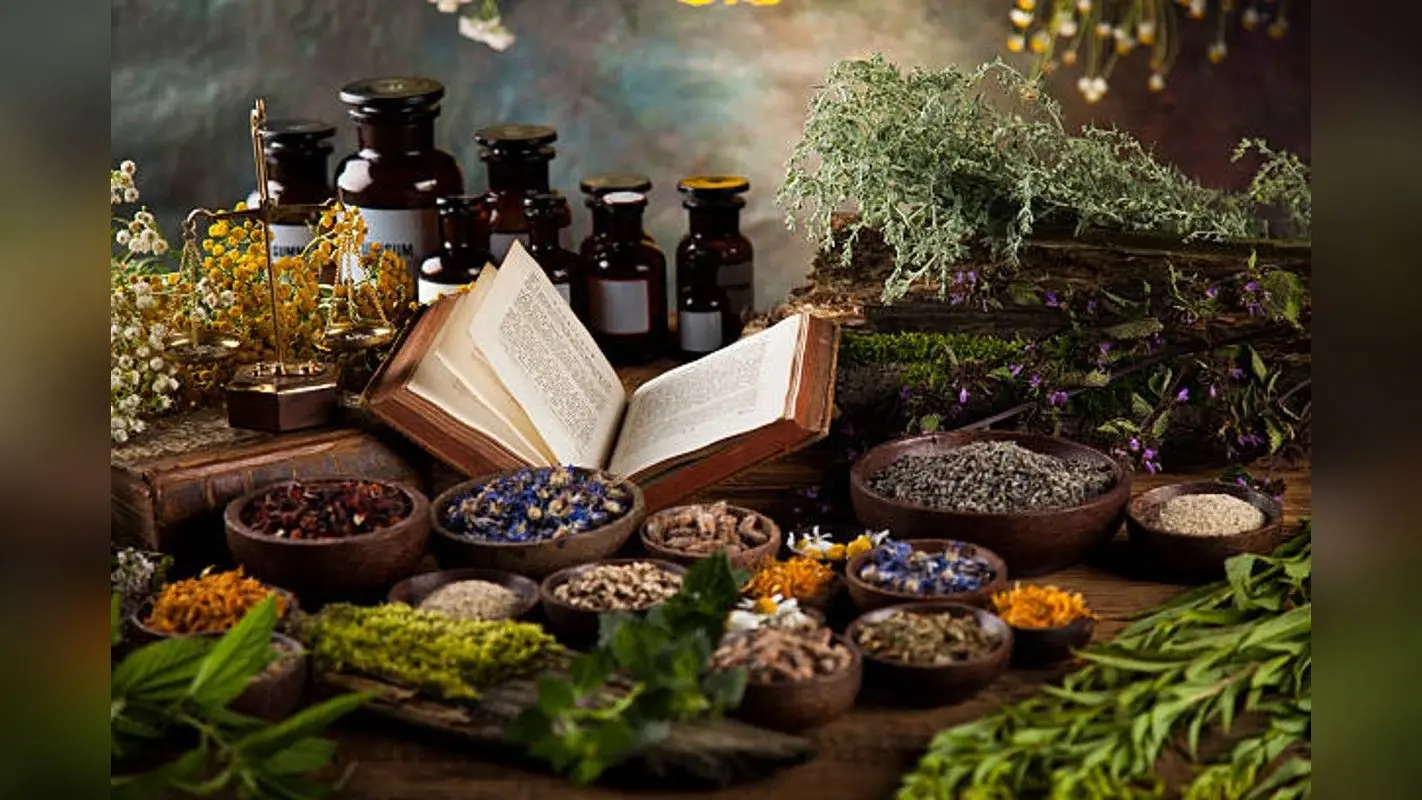 Ayurveda Weight Loss Tips: वजन कम करने में मददगार हो सकते हैं ये आयुर्वेदिक उपाय, यहां जानिए कैसे