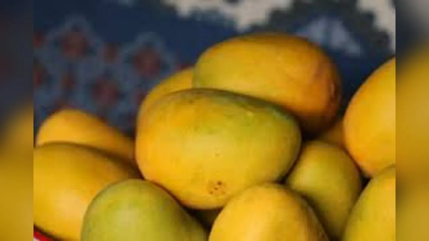 Benefits of Ripe Mango: डायटीशियन ने बताया बड़े कमाल का है पका हुआ आम, जानें इसके फायदे