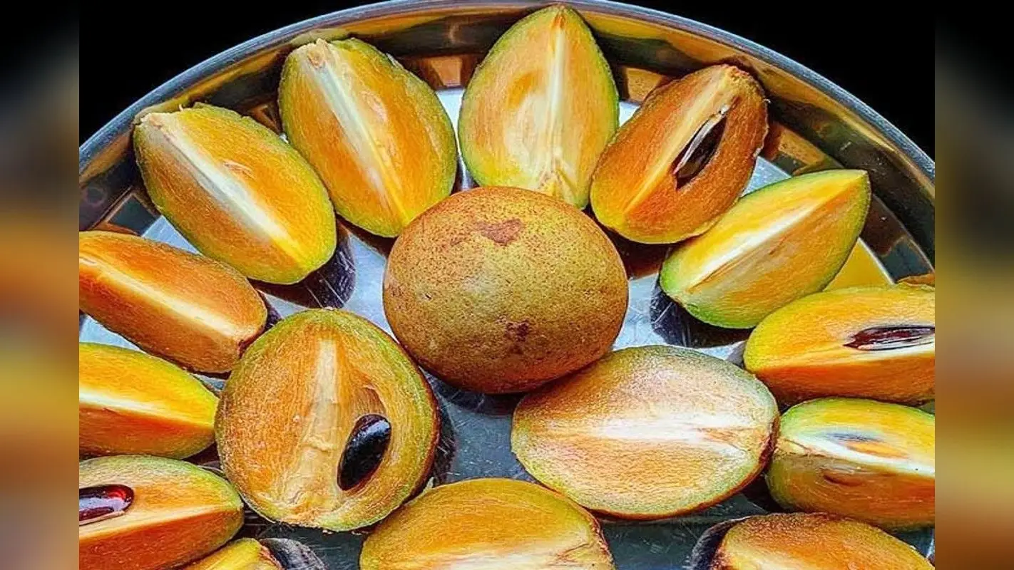 5 Health Benefits Of Chikoo: गर्मी में रोज खाएं चीकू, मिलते हैं ये 5 गजब के फायदे