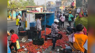 गिरिडीह सड़क हादसा : टमाटर से लदा पिकअप वैन पलटा, लोगों ने जमकर लूटे टमाटर