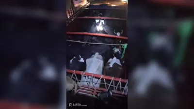 पशु लदा ट्रक जब्त, प्राथमिकी दर्ज