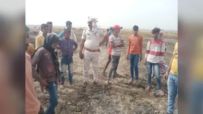 सौ बिगहा में लगी गेहूं की फसल जल कर खाक