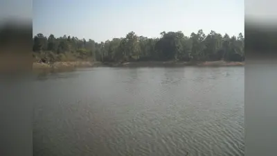 किसानों के लिए वरदान साबित हो सकते हैं डुमरी प्रखंड के जलस्रोत