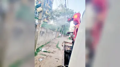 राजधानी में भिनभिना रहे मच्छर और सो रहे नगर निगम के अधिकारी