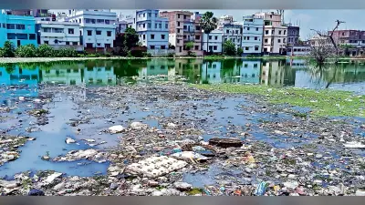 सालों से खाली जमीनों में जमा है पानी, पनप रहे जहरीले मच्छर