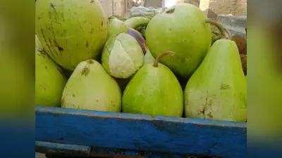 चार दिवसीय चैती छठ महापर्व की तैयारी शुरू, नहाय-खाय आज