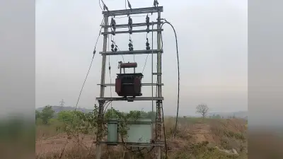पहाड़पुर में चोरों ने 16 पोल केबल काटा, सिंचाई कार्य ठप