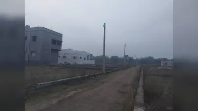जामबोनी में चोरों ने 1.28 लाख का तार काटा, केस दर्ज