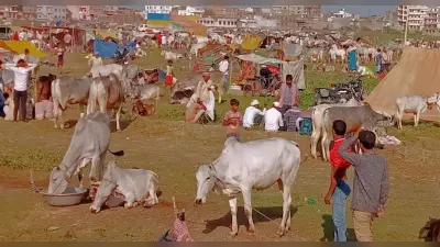प्रसिद्ध रामनवमी पशु मेला के अस्तित्व पर छाया संकट