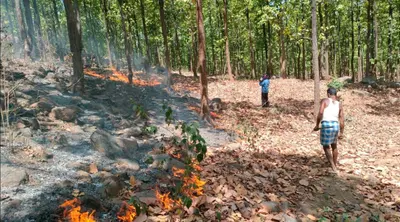 रोरिया जंगल में लगी आग को ग्रामीणों ने बुझाया