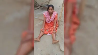 हाथी ने महिला को चपेट में लिया, घायल